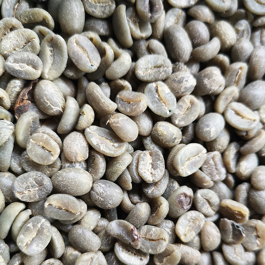Image of green unroasted coffee beans.